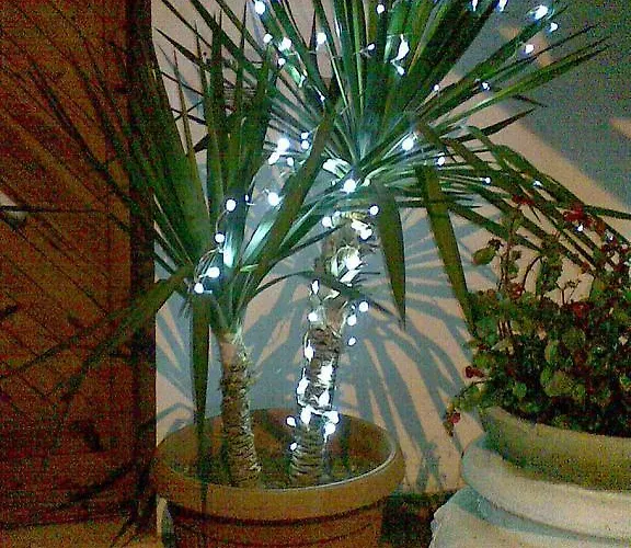 Casa Di Claudia * בלריה-איגאה מרינה